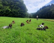 ein Bild aus dem Album