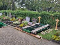 ein Bild aus dem Album