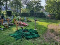 ein Bild aus dem Album