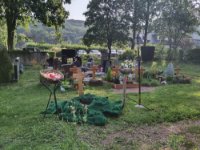 ein Bild aus dem Album