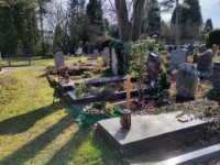 ein Bild aus dem Album