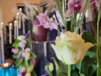 ein Bild aus dem Album