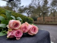 ein Bild aus dem Album