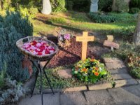 ein Bild aus dem Album