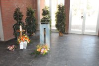 das zu meldende Bild