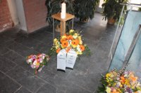 das zu meldende Bild