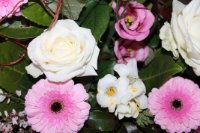 ein Bild aus dem Album