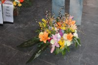 das zu meldende Bild