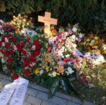 das zu meldende Bild