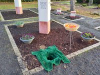 ein Bild aus dem Album