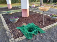 ein Bild aus dem Album