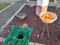 ein Bild aus dem Album