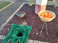 ein Bild aus dem Album