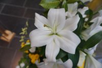 ein Bild aus dem Album