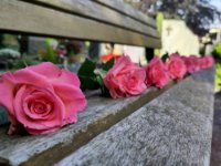 ein Bild aus dem Album