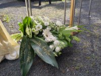 ein Bild aus dem Album