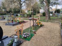 ein Bild aus dem Album