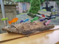 ein Bild aus dem Album