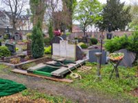 ein Bild aus dem Album