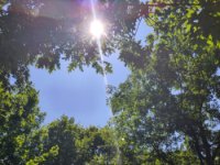 ein Bild aus dem Album