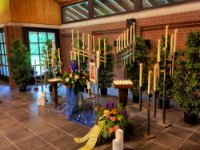 ein Bild aus dem Album