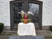 ein Bild aus dem Album