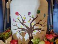 ein Bild aus dem Album