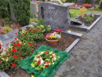 ein Bild aus dem Album