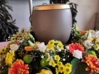 ein Bild aus dem Album