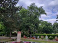 ein Bild aus dem Album