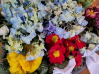 ein Bild aus dem Album