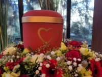 ein Bild aus dem Album