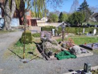 ein Bild aus dem Album