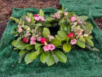 ein Bild aus dem Album