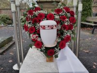 ein Bild aus dem Album