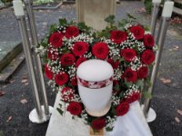 ein Bild aus dem Album