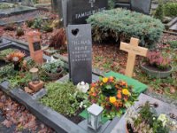 ein Bild aus dem Album