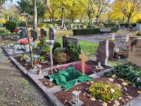 ein Bild aus dem Album