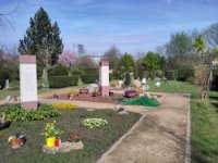 ein Bild aus dem Album