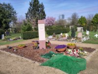 ein Bild aus dem Album