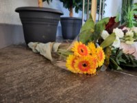 ein Bild aus dem Album