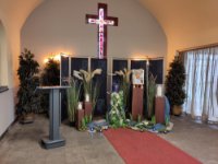 ein Bild aus dem Album