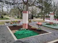 ein Bild aus dem Album