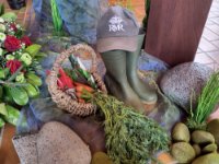 ein Bild aus dem Album