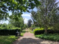 ein Bild aus dem Album