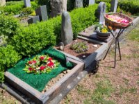 ein Bild aus dem Album