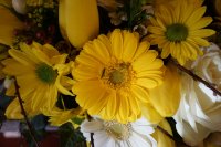 ein Bild aus dem Album