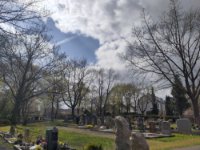 ein Bild aus dem Album