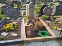 ein Bild aus dem Album