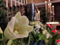 ein Bild aus dem Album